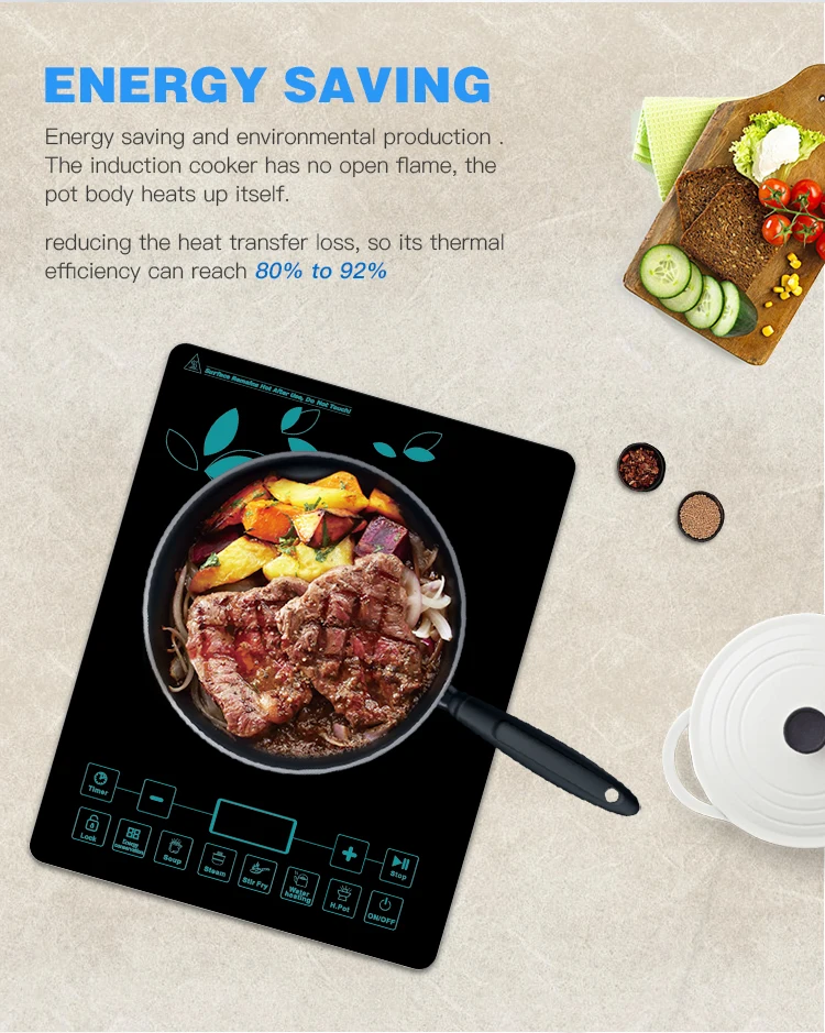 Japan Price Low Power Electric National Mini Small Induction Cooker