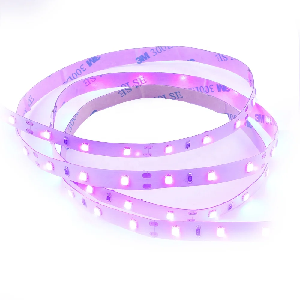 3m adhesive 12v waterproof 365 375nm uv led strip  2835 UVC led strip