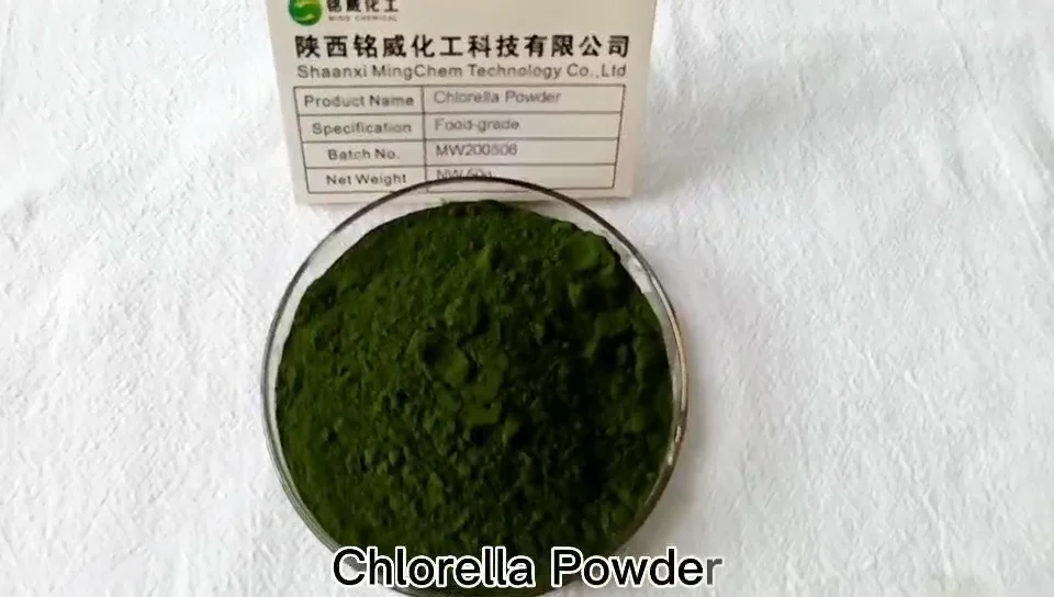 Health Supplements Chlorella Pyrenoidosa Powder Chlorella Vulgaris