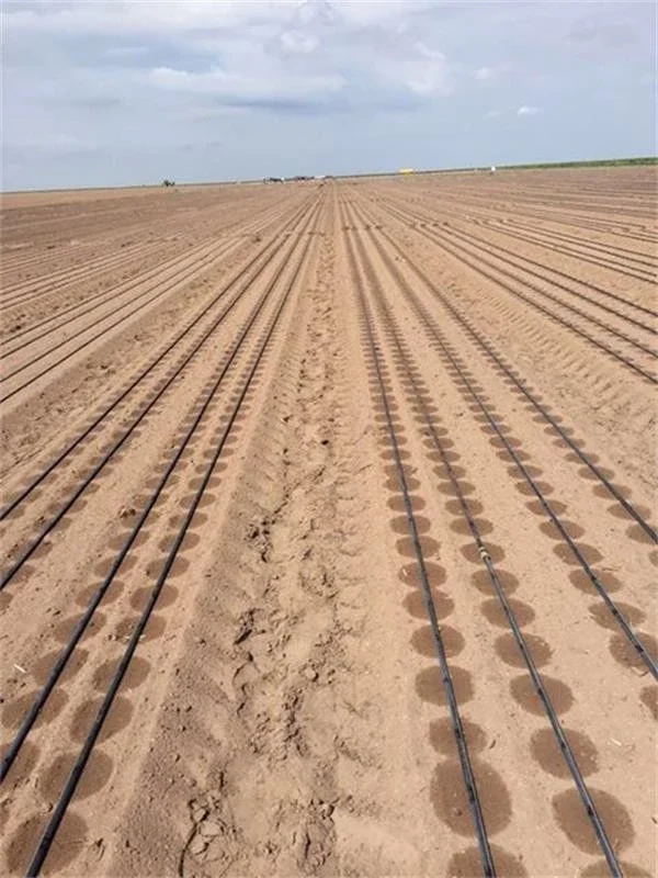 צינור טפטוף 16mm עם טפטפת פנימית עגולה וגלילי צינור גינה למערכת השקיה חקלאית בחווה