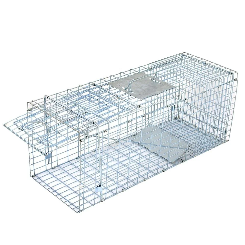 31x11x13'' Folded Humane Large Live Animal Cage Traps - Buy Humane ...