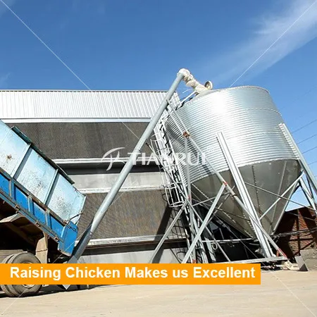 feeder system 1 .jpg