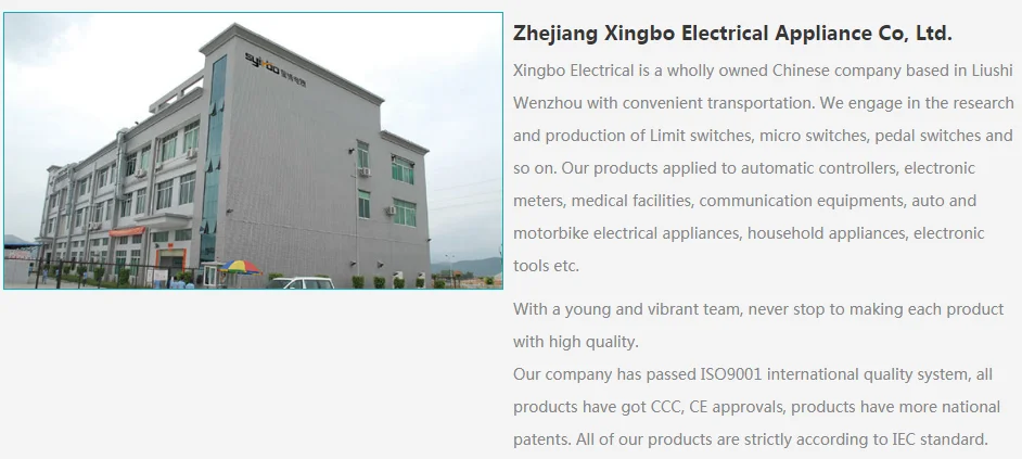 introduction of xingbo.png