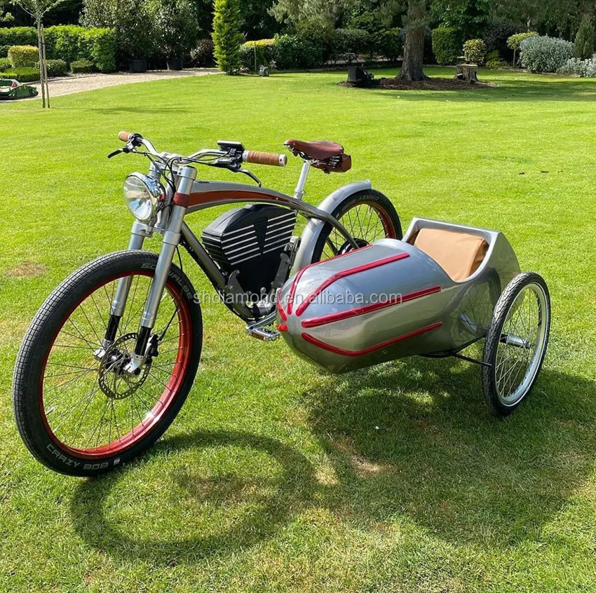 bicycle sidecar for child