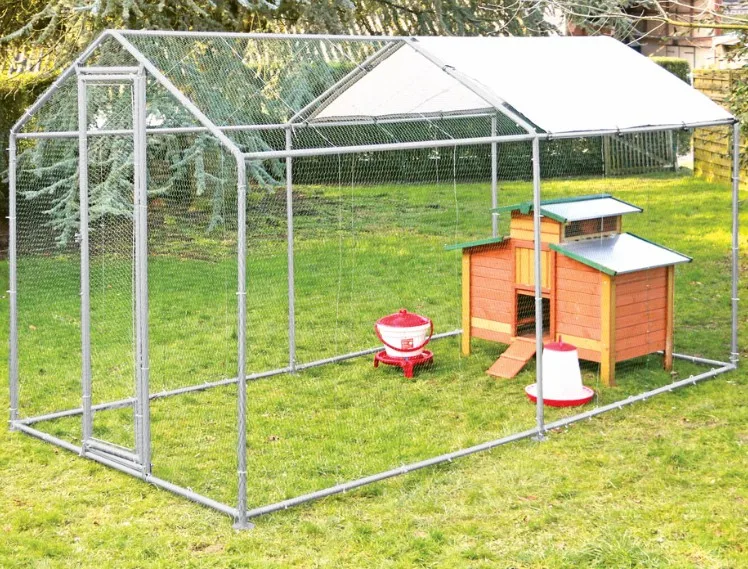 chicken runs 17.JPG
