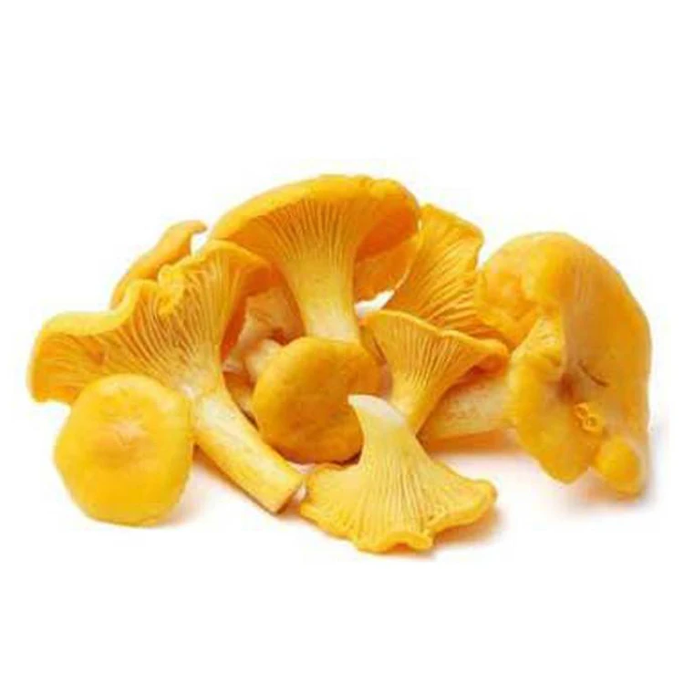 
Dried Cantharellus cibarius yellow color wild mushrooms Chanterelle 