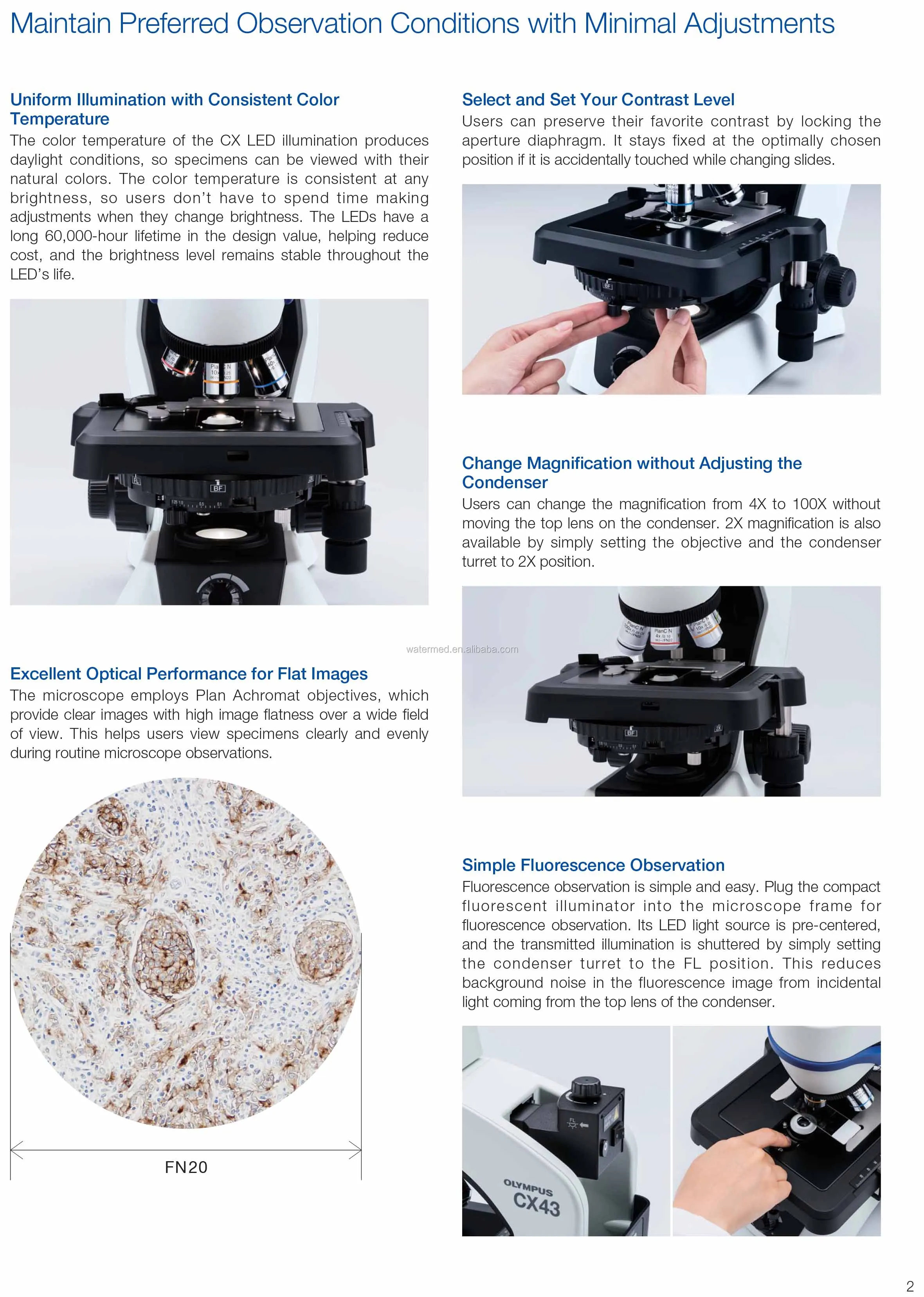 CX33 Trinocular Biological Microscope for High-Throughput Microscopy