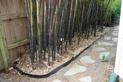 hdpe geomembrane root barrier.jpg