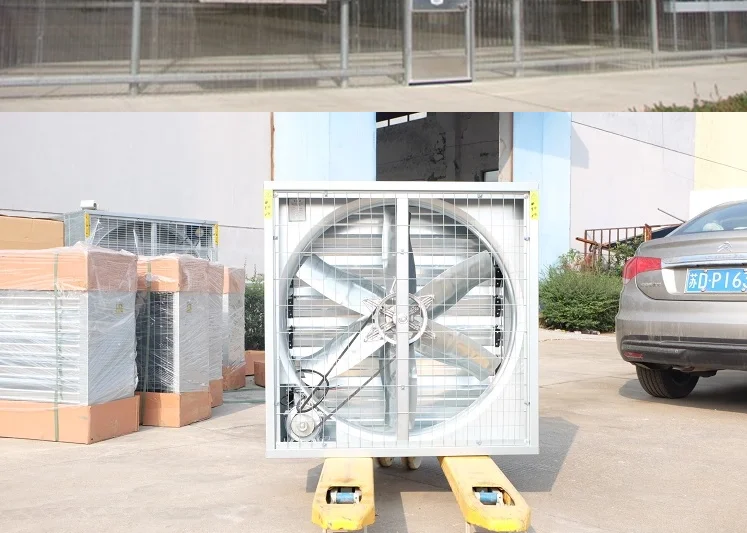 Automatic Exhaust Fan Cooling Fan Pushpull Fan For Greenhouse