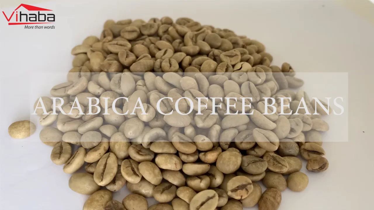 Wholesale Vietnamese High Quality Green Coffee Beans With Best Price