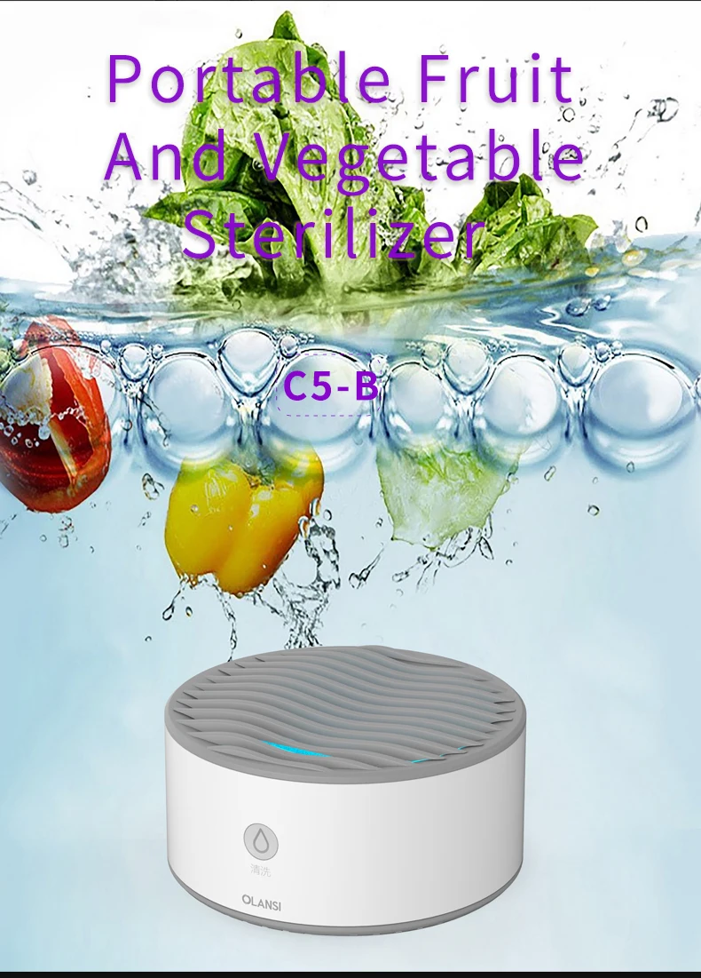 Olansi Small and Portable Waterproof Rating Ozone Fruit and Vegetable Fruit Washer Industrial Fruit and Vegetable Washer Ozone