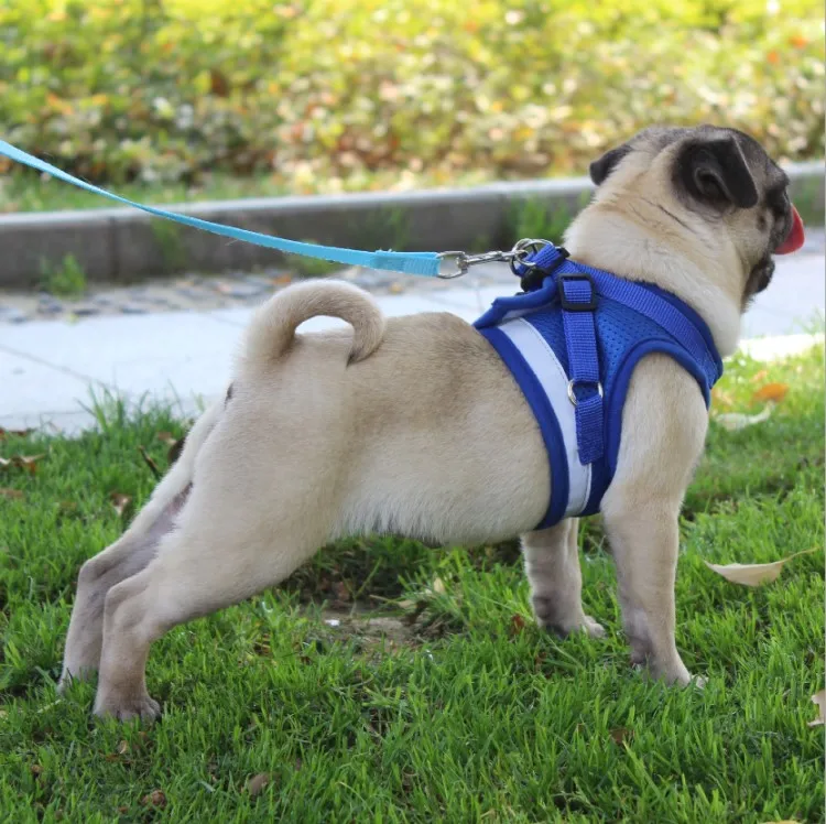 Pet Cat Vest Harness With Free Leash Soft Cat Chest Harness Backpack Adjustable Reflective Breathable