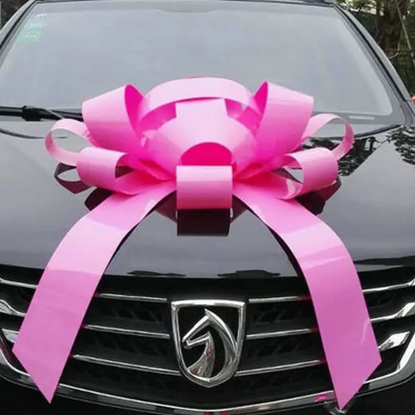 car bow 9.jpg
