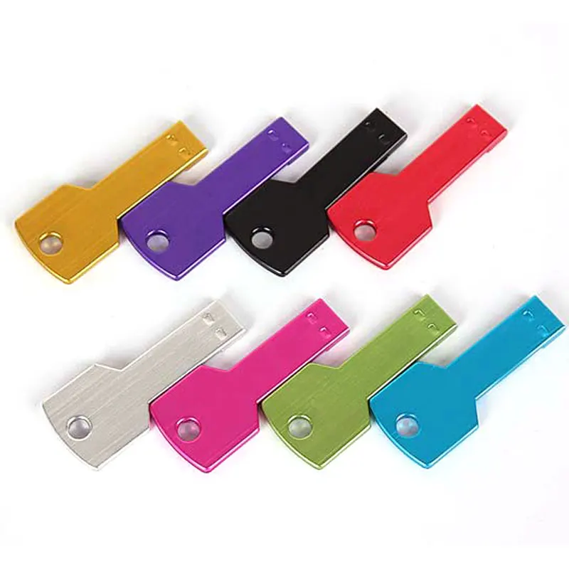 OEM Custom Metal USB Key Shaped Pen Drive 8GB 16GB 32GB Support 2.0 Key Flash Memory USB Stick - ANKUX.COM