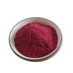 100% pure natural beetroot extract powder beet red pigment in