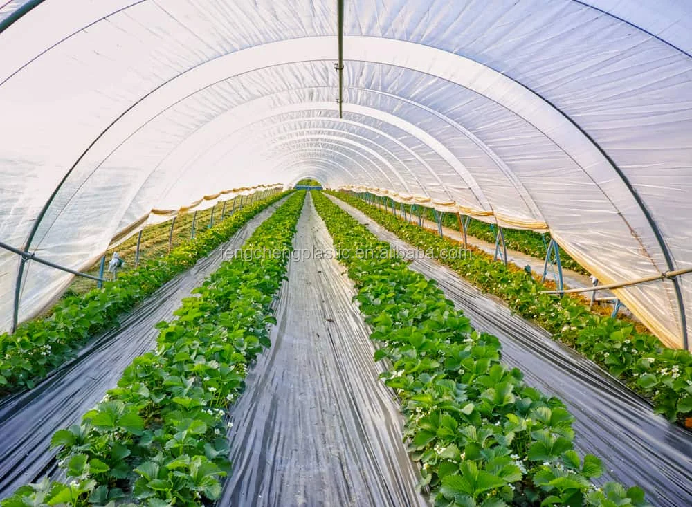 уф пластик. ферма пластика. ферма пластика. ферма пластика. ферма пластика.