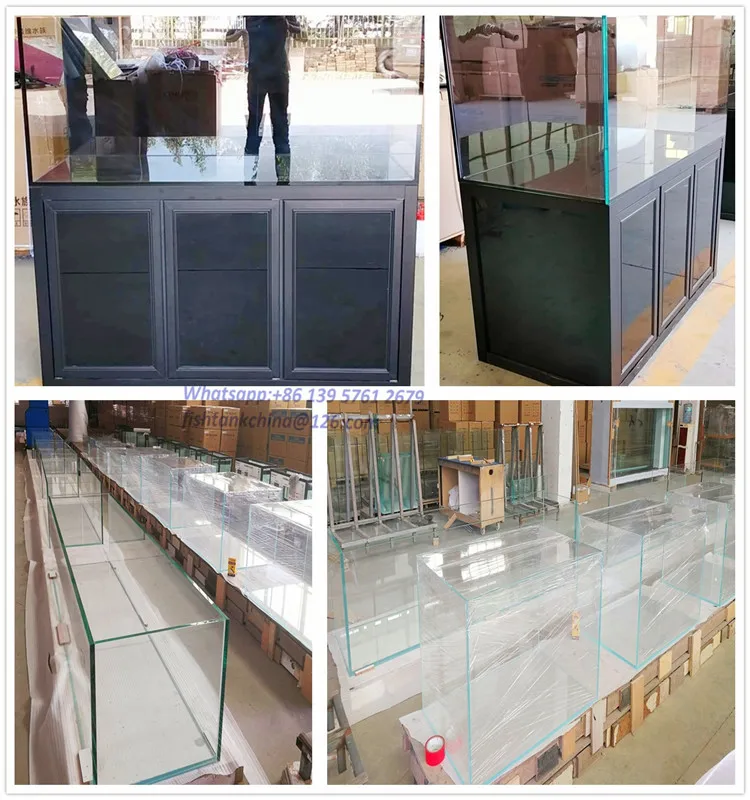 Salty Water Aquarium1_.jpg