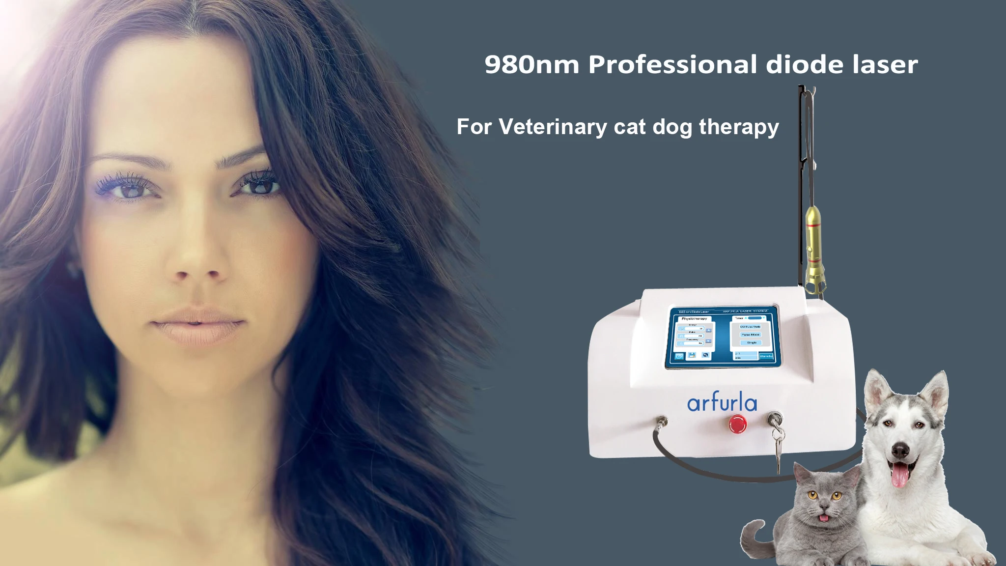 Veterinary medical Laser animal laser therapy animal horse therapy equipment