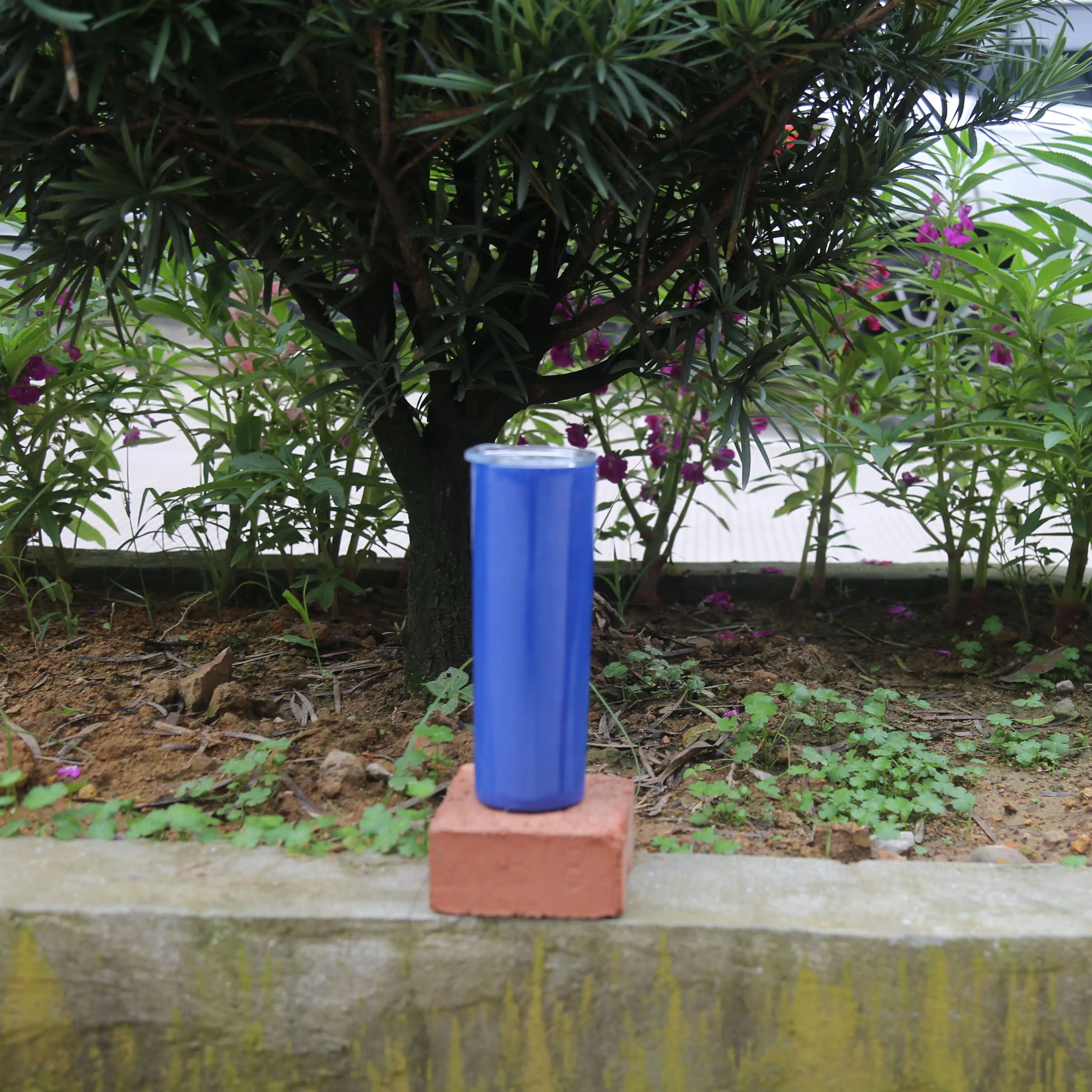 05.jpg
