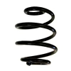 Suspension springs for vehicle