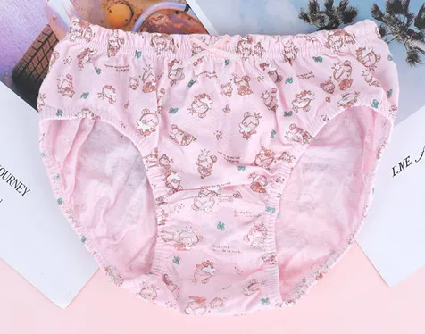 Korean Style Kid Underwear Lingerie Quality Combed Cotton Lovely ...