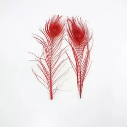 goose down feather