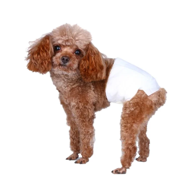 Beli Indonesian Set Lot Murah Grosir Indonesian Set Galeri