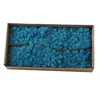 Chinese Supplier Preserved Flat Moss for Floral Ornamentation Decoration