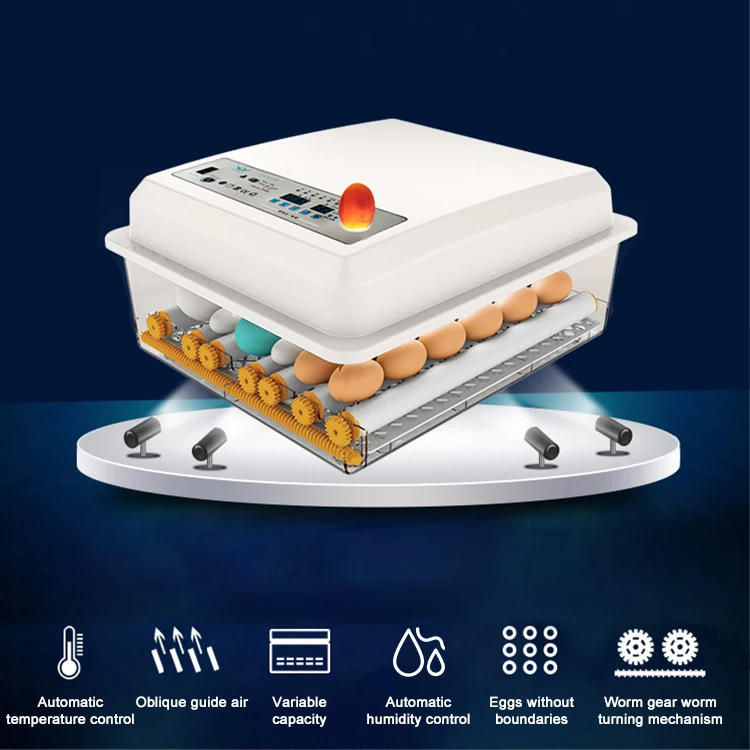 42egg incubator-9.jpg
