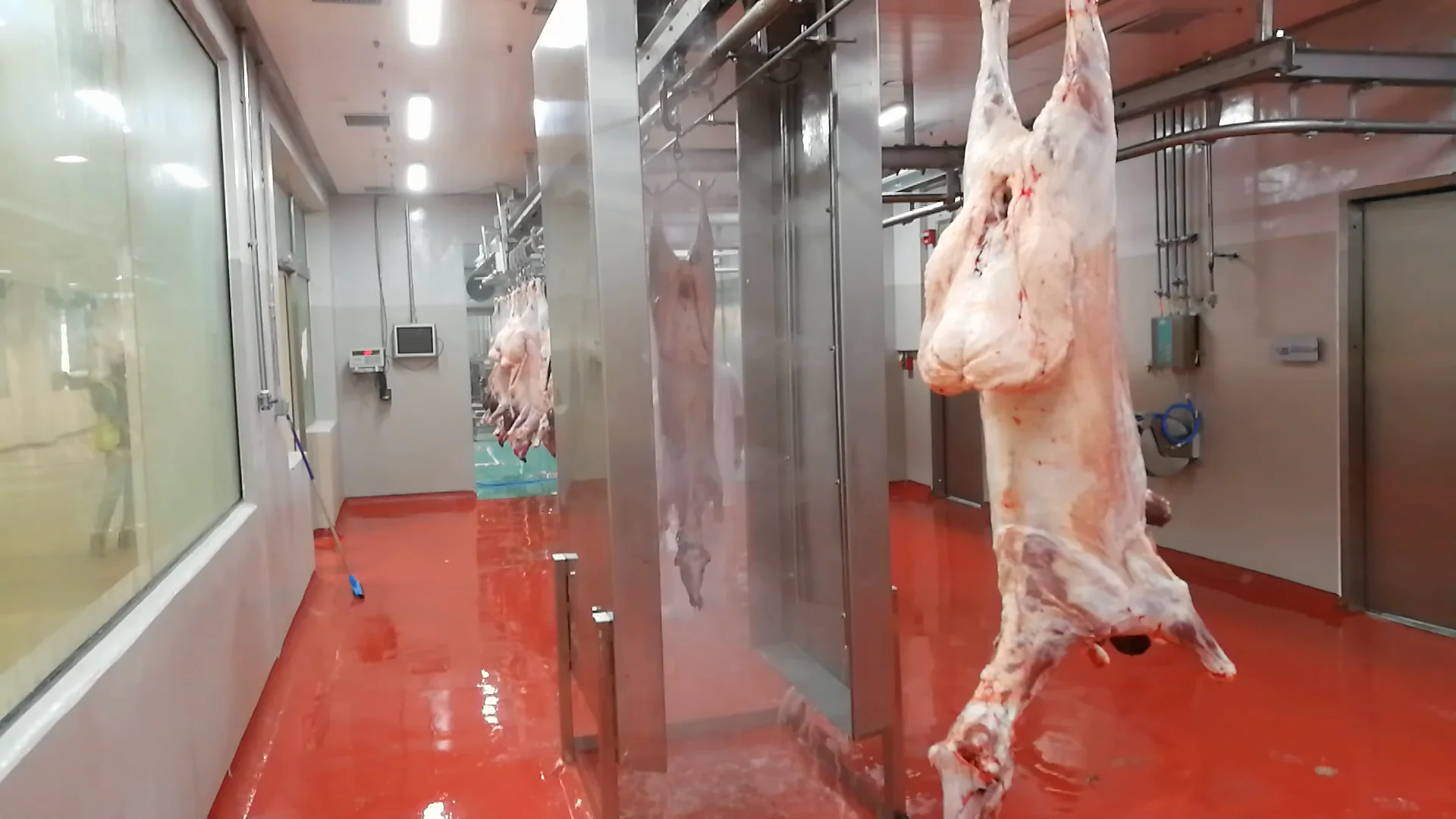 Customized halal mutton slaughtering process sheep slaughterhouse