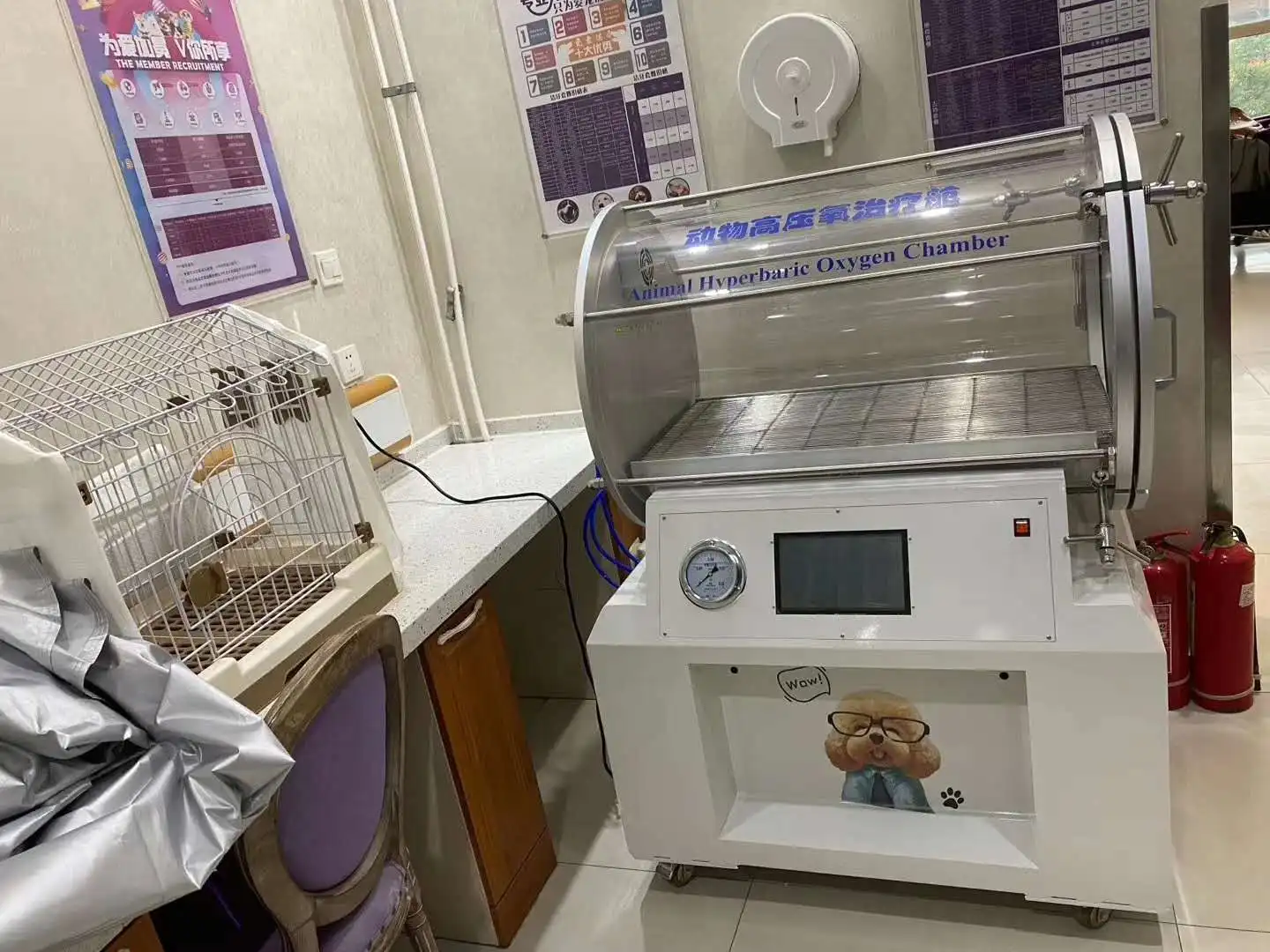 puppy incubator with oxygen