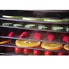 /product-detail/commercial-fruit-vegetable-dehydrator-for-sale-62299116644.html