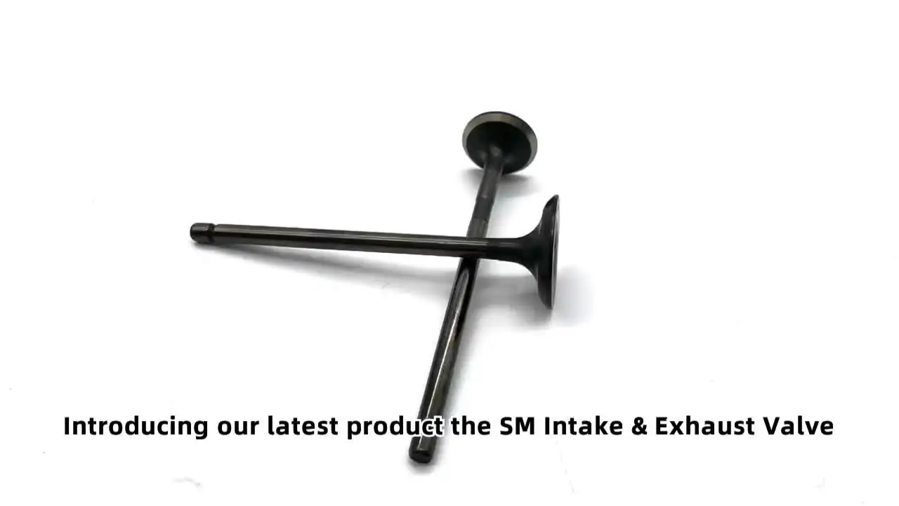 Toyota COROLLA VIOS LEVIN/HYBRID Engine Valves - 13711-0Y010