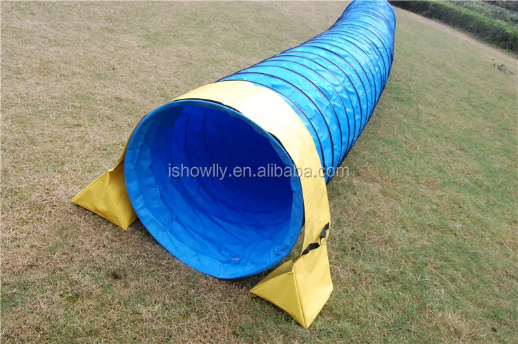 dog tunnel  (17).jpg