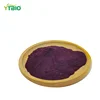High Quality bulk Black Carrot extract powder with best price