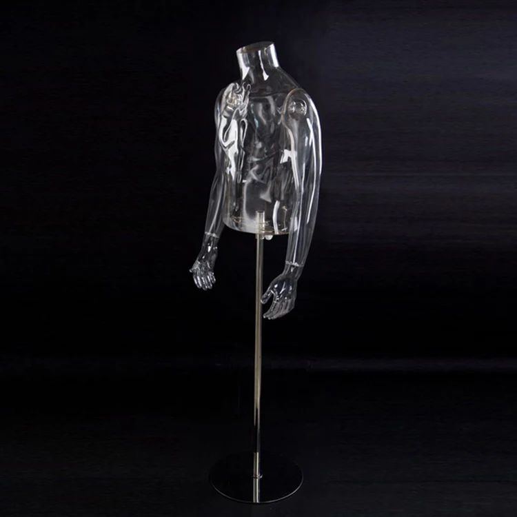 透明男性躯干上身人体模特出售