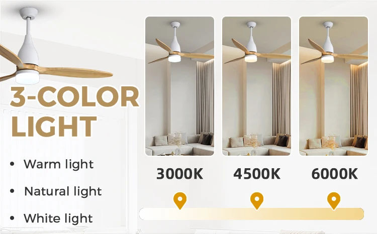 Ceiling Fan, Electric Power, DC 26W - detail 10