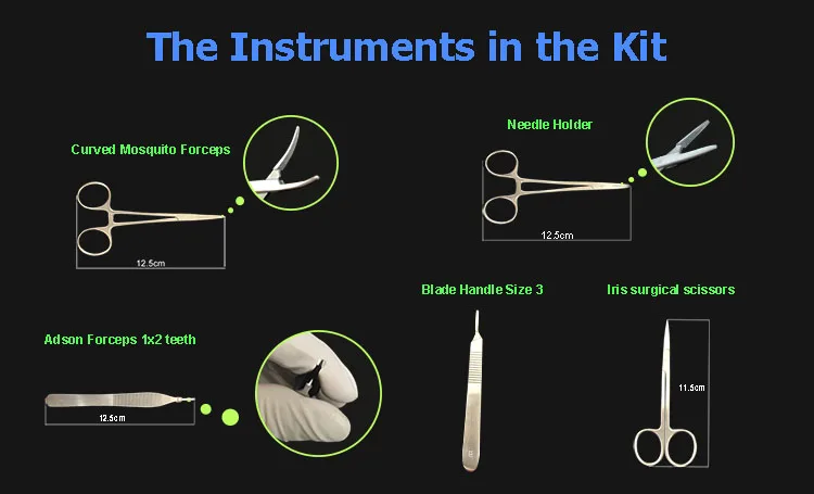 Model for suturing.jpg