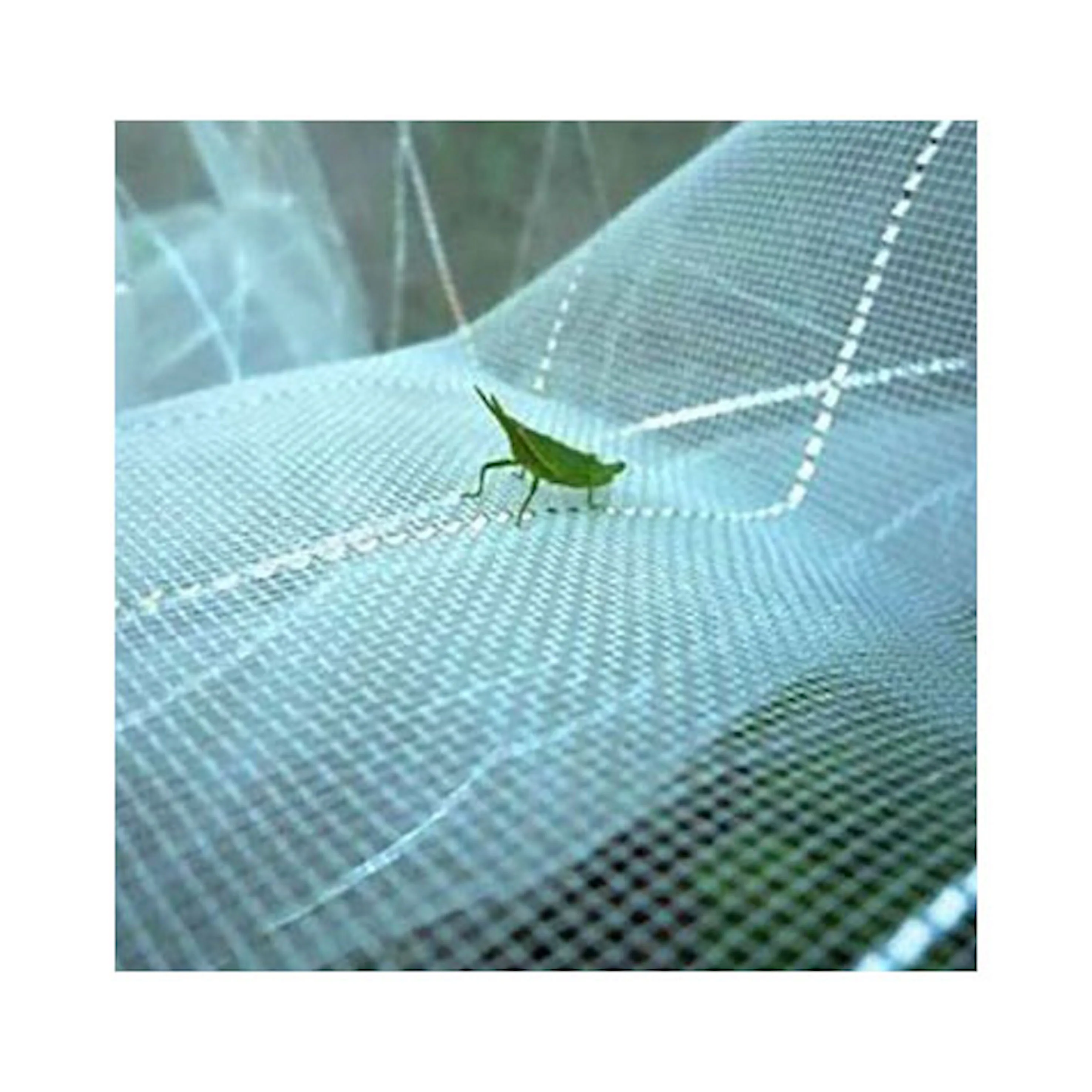 Customized Size Plastic Net Antiinsect Net For Protection Crop Anti