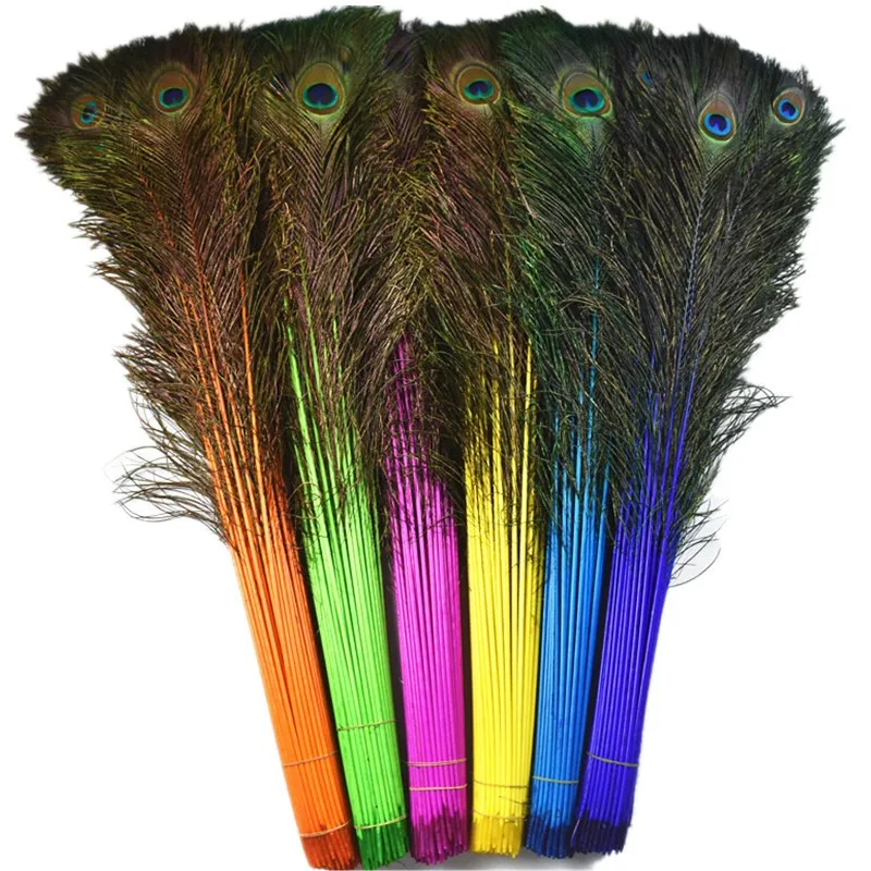 peacock feathers for sale