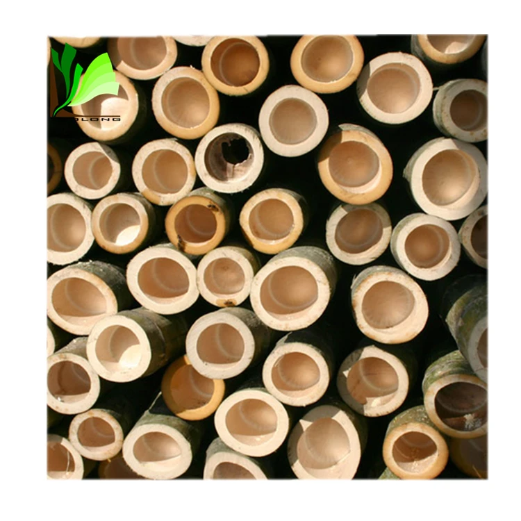 moso bamboo pole-8