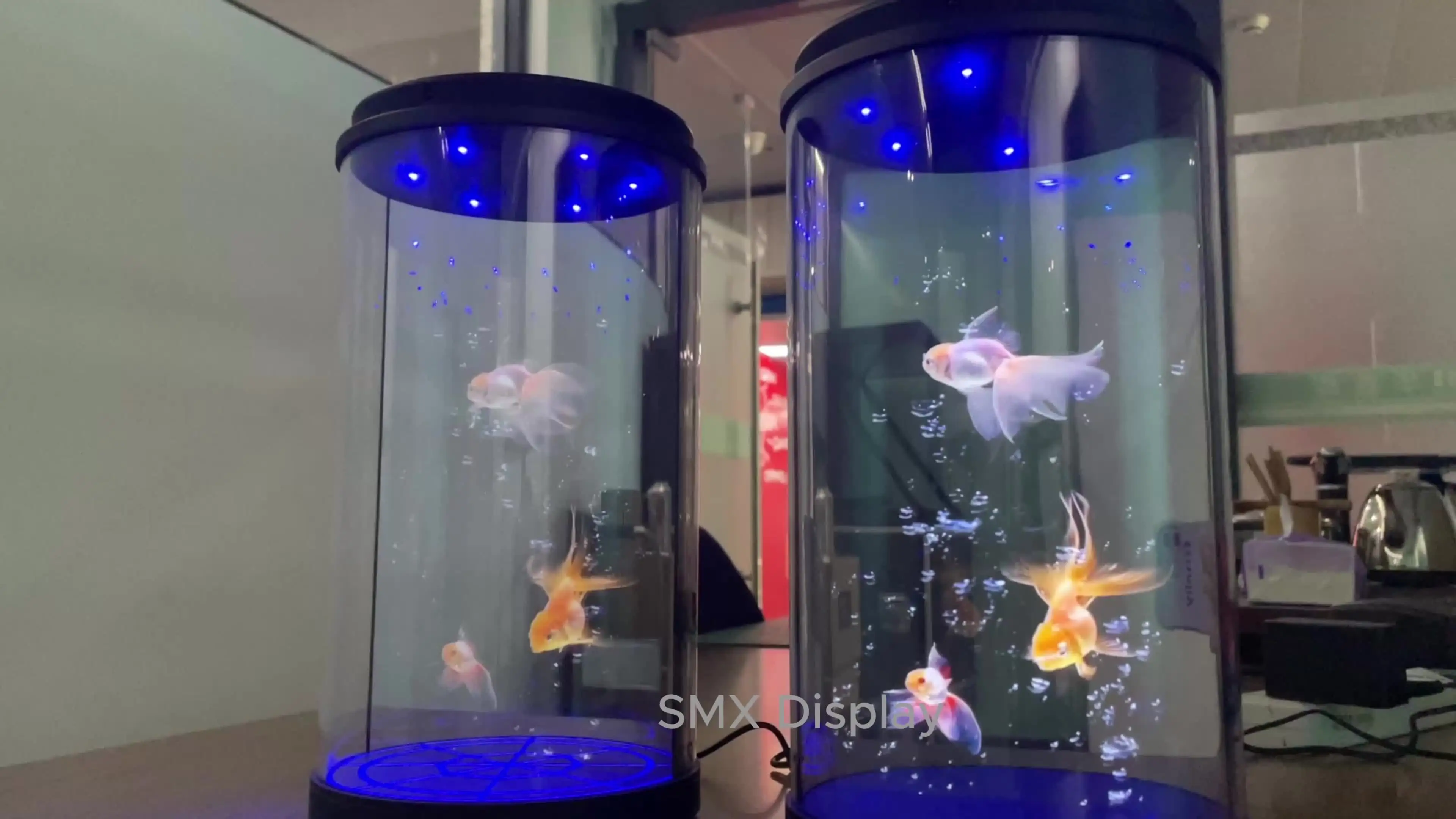 立体 3D ホログラム 男爵 化け物 3Dホログラムシリンダー透明スクリーンインタラクティブ