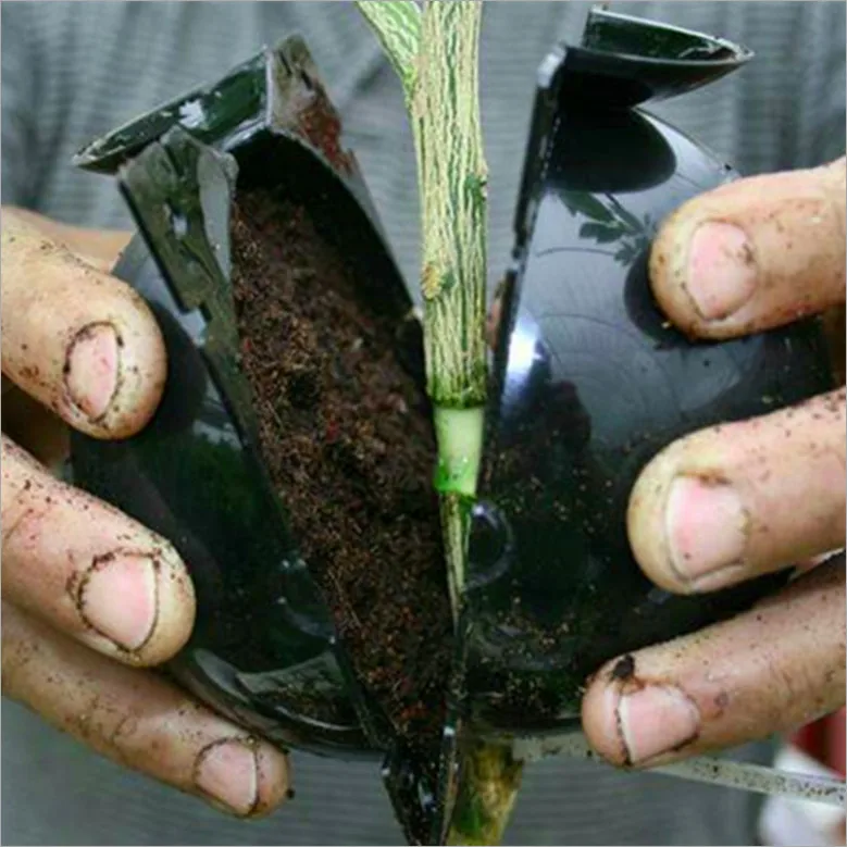 10 pack tree root growing box, rooting ball grafting tools