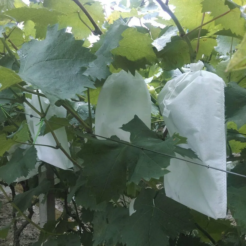 Factory customized agricultural PP non-woven fruit bags are pollution-free