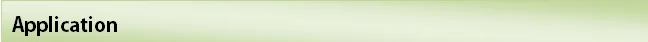 application.PNG