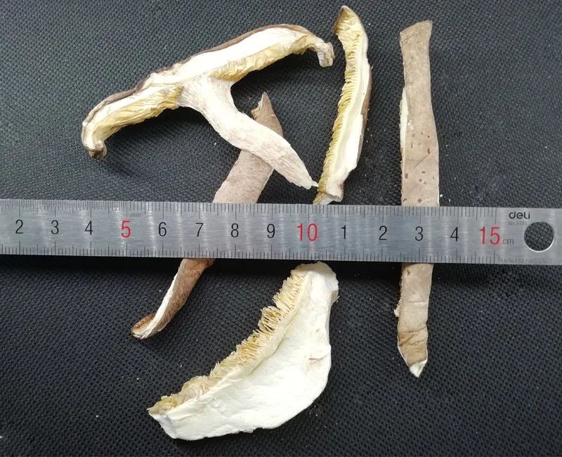 Dried Shiitake Mushroom Shredded( 5mm) Mushroom Strips Export Licensing