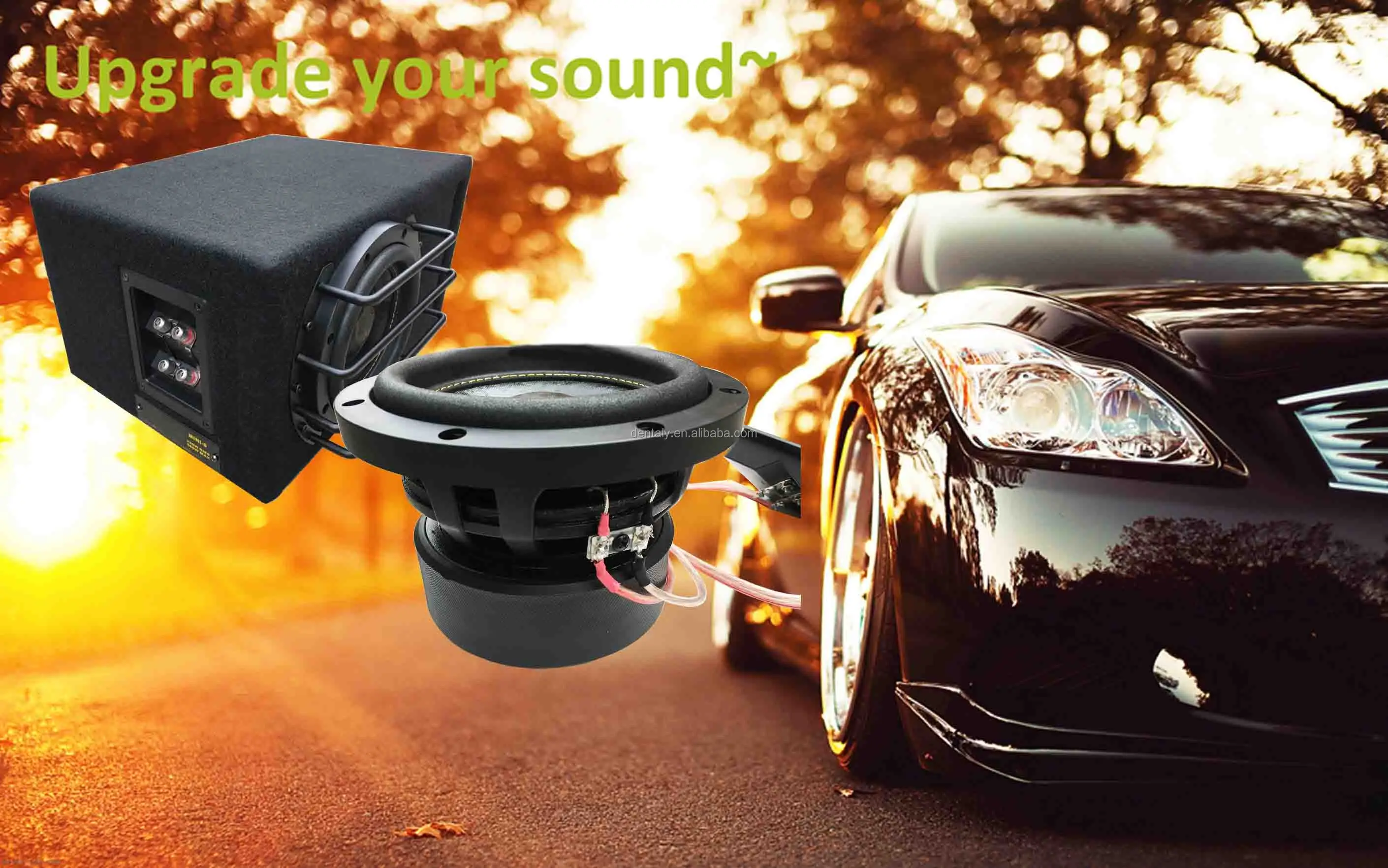 Rms 250w Subwoofer Built In Front Protection By Steel Bar Passive