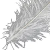 Hot Selling Factory Ostrich Feather White