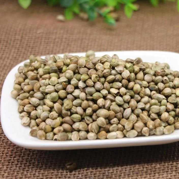 Huo Ma Ren Chinese Dried Hemp Seed For Sale Buy Hemp Seed,Hemp Seed