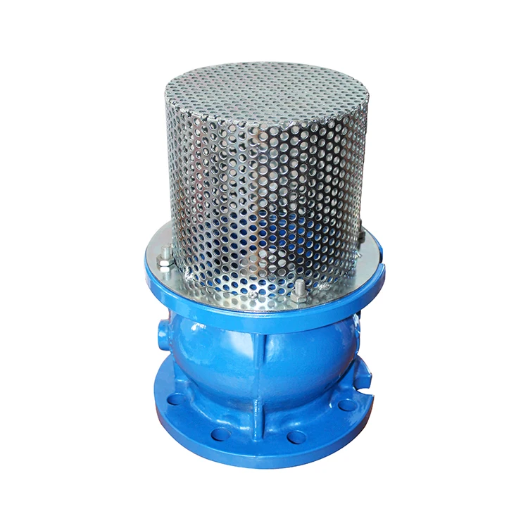 Casting Iron 6 Inch Water Pump Foot Valve Buy Foot Valve,6 Inch Foot